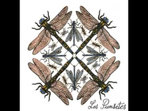 maricas - http://www.myspace.com/lospunsetes http://www.tiendabang.com/discos/los-punsetes-los-punsetes.