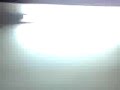 NOCHE DE ALABANZA Y ADORACIÓN - PROCLAMAD 8/11
