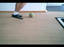 jorky ball