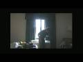 videos de 100 Videos - 100 Days