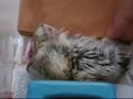 deep sleep deep sleep
