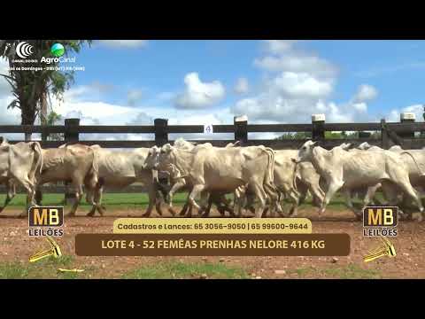 527� LEIL�O VIRTUAL MB LEIL�ES