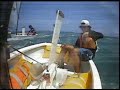 Optimist sailing in Cabarete 2
