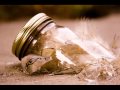 SOA-Gimme Shelter