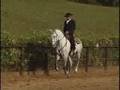 videos de Vigario Interagro O Cavalo...