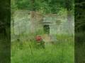 PhotoStory2