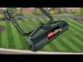 Lawn Striping How To