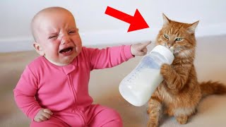 Pets Stealing Babies Food - Funny moments