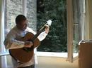 Wasted Time (acoustic fingerstyle - David van Lochem)