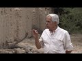 SIEMBRA Y COSECHA TV: Historia de la vitivinicultura en Tucumán