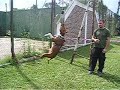 ORKAN (APBT) Evento APBA Longchamps 18/03/2007 [02]