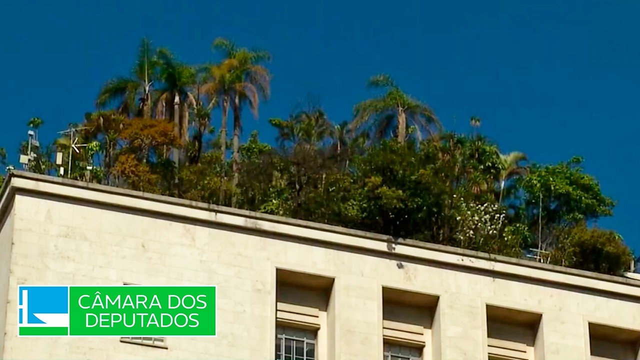 Projeto aprovado obriga uso de telhados verdes em novos prédios públicos - 24/08/2026