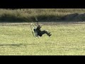 Powered Paraglider crash right after launch