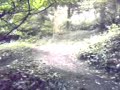 Funny Biking Accident