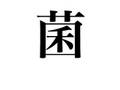 知らなくても損しない認知心理学シリーズ〜第1回