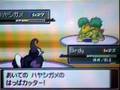 Pokémon Platinum - Rival Battle 3