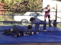 LWF (4W) October 19, 2008 Main Event Part 2