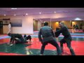 Hanebi no kata - 1st level Gyokko ryu for Akban wiki