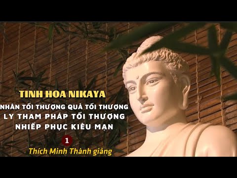 TINH HOA NIKAYA - NHÂN TỐI THƯỢNG QUẢ TỐI THƯỢNG - LY THAM PHÁP TỐI THƯỢNG - NHIẾP PHỤC KIÊU MẠN 1