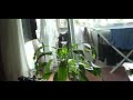 FILE0002.MOV