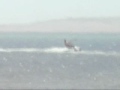 Kite Surf in Peru - 03-24