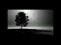 in the wind in the wind