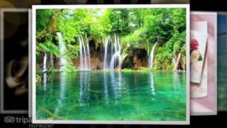 wali band tomat tobat maksiat