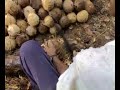 tiyoy (magkopras na sila)