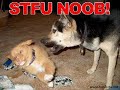 More Funny Pictures! More Funny Pictures!
