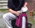 basic flint knapping