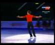 Mondiali pattinaggio artistico Svezia 2008 Gran Galà - Final