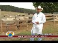 Programa Helinho L�lis - TV Muares (2)
