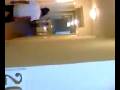 videos de narutooo.3g2