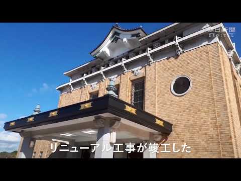 動画