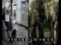 videos de Beispiele für die Existenz von morphischen Feldern
