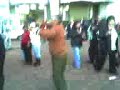 betivan petrecaret 2
