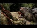 Dire wolf3