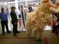 PAK HOK PAI, GIMNASIO LO-HAN VENEZUELA