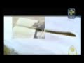 نبذة صغيرة عن ناصر الدين بحق الشيخ الألباني رحمه الله