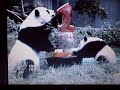 Tai Shan ONE