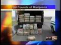 600 lb Marijuana bust (KREX CBS)