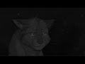 Warriors - Graystripe and Silverstream