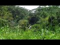 Kalihiwai - Kauai - Waterfall