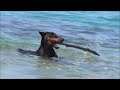 http://kly.so/2E8 .Olivia Wilde Sexy Bikini Body Workout Routine
