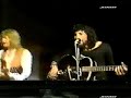CAT動画