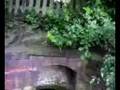 Salterswell in Tarporley