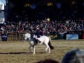 Ag Fair at the Expo