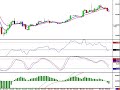 Forex Trading- Cowabunga System