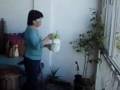 PARTO EM CASA - DOMINGO ESPETACULAR. PARTE 1 DE 2