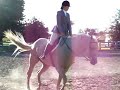 This is a video of me with my horse Millennium Superstar (Slick) performing Hunter Under Saddle.